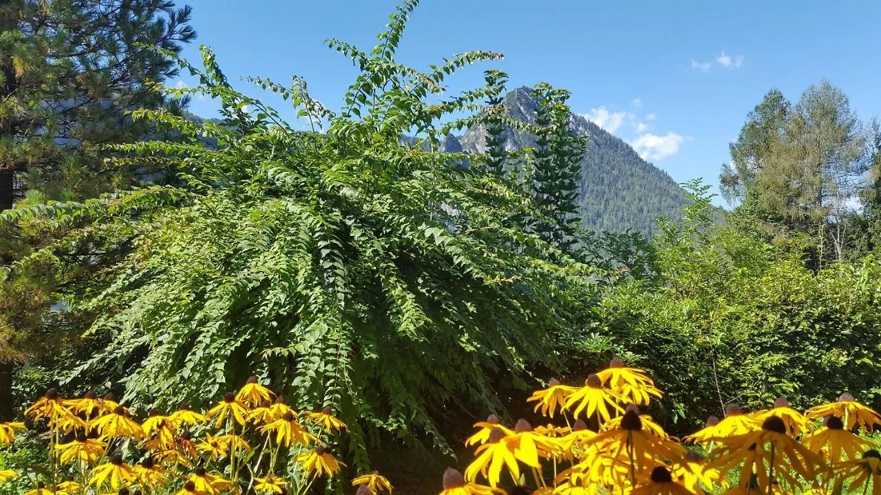 Gaestehaus Weinrebe Schoenau am Koenigsee 0*,